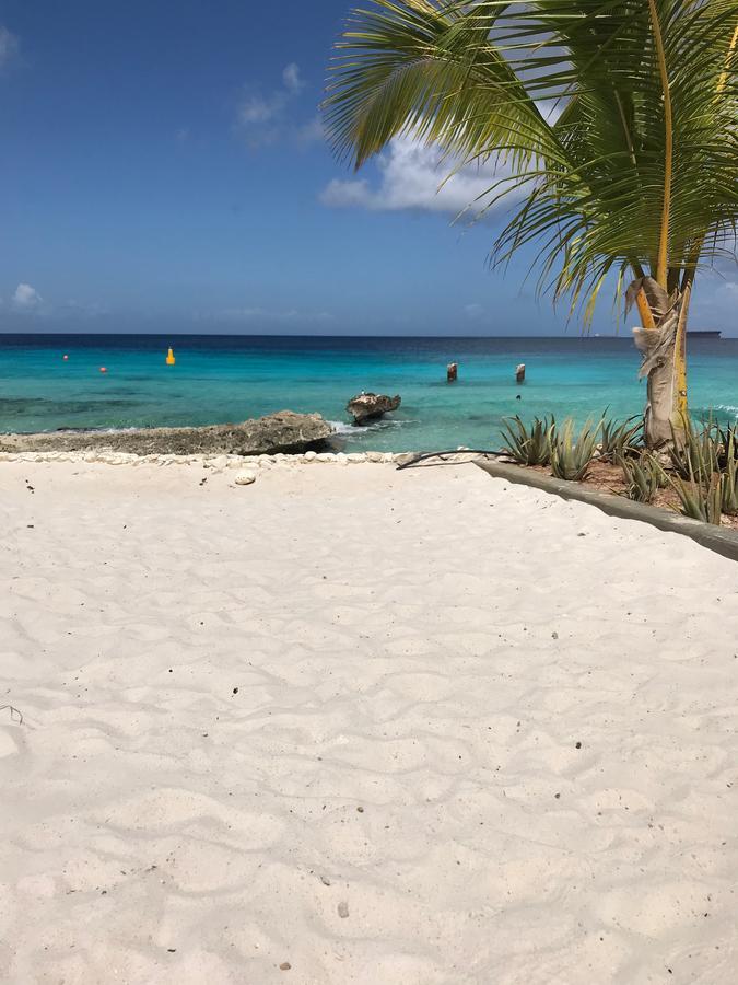 Bonaire Boutique Resort Playa Esterno foto